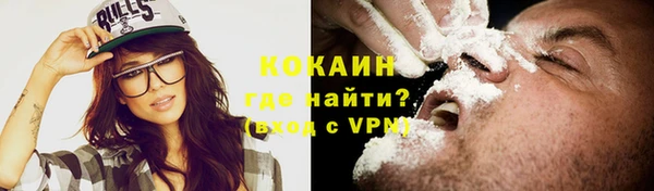 дживик Белокуриха