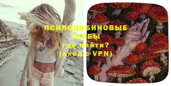 индика Баксан