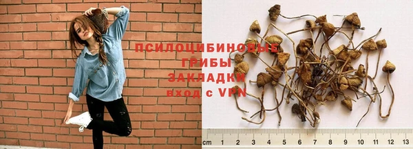 дживик Белокуриха