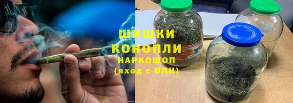 дживик Белокуриха
