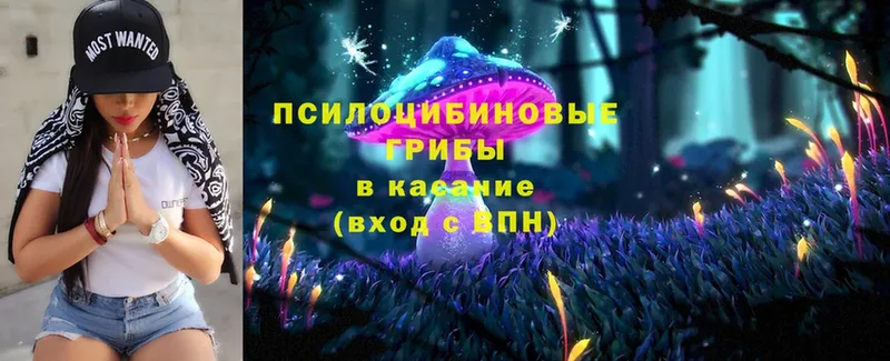 Галлюциногенные грибы Cubensis  Верхняя Тура 