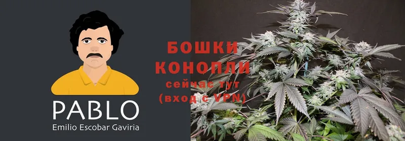 Шишки марихуана OG Kush  наркотики  Верхняя Тура 